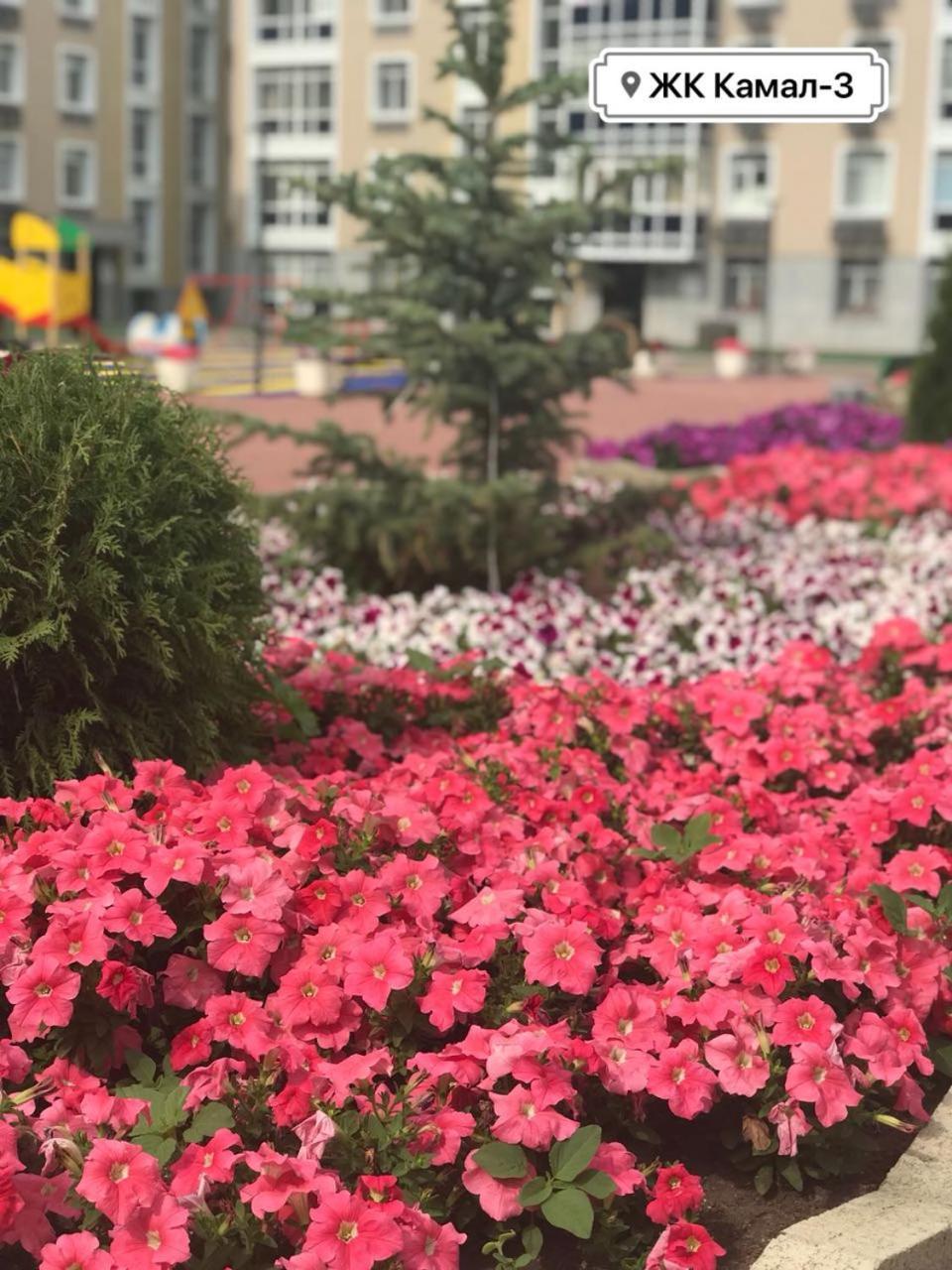 Однокомнатная Astana Extérieur photo